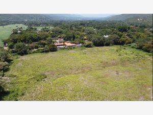 Terreno en Venta en Ticumán Tlaltizapán de Zapata