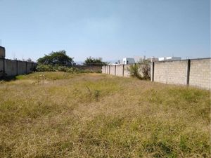 Terreno en Venta en Los Arrozales Jojutla