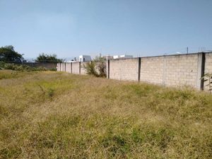 Terreno en Venta en Los Arrozales Jojutla