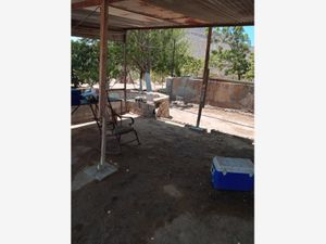 Terreno en Venta en La Cruz García