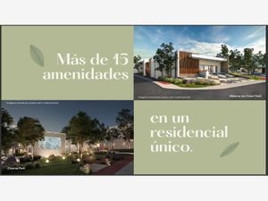 Terreno en Venta en Montellán Monterrey