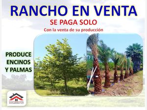 Finca/Rancho en Venta en Cadereyta Jimenez Centro Cadereyta Jiménez