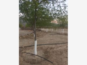 Terreno en Venta en La Cruz García