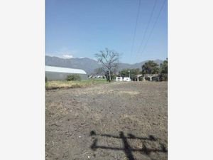 Terreno en Venta en El Ahuehuete Tlayacapan