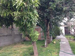 Casa en Venta en Benito Juarez Zacatepec