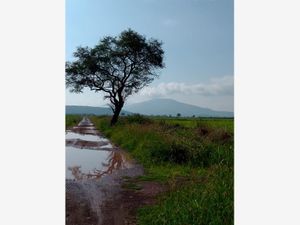 Terreno en Venta en Atotonilquillo Chapala