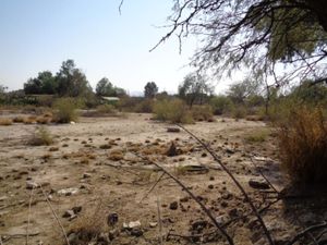 Terreno en Venta en El Tajito Torreón