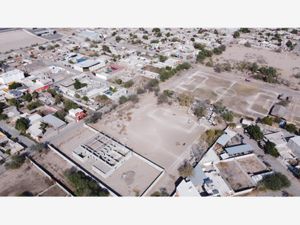 Terreno en Venta en El Tajito Torreón