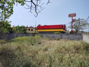 Terreno en Renta en Ciudad Cuauhtémoc Pueblo Viejo