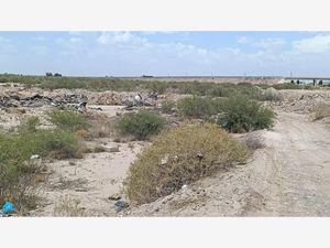 Terreno en Venta en La Concha Torreón