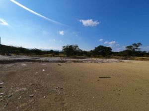 Terreno en Venta en Ciudad Valles