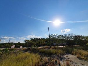 Terreno en Venta en Ciudad Valles