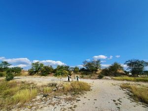 Terreno en Venta en Ciudad Valles