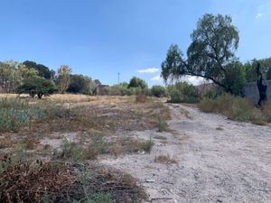 Terreno en Venta en Villa de Pozos