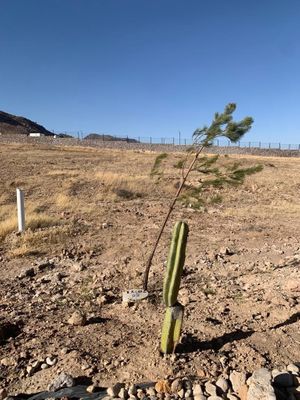 Terreno en Venta en Ciudad Maderas