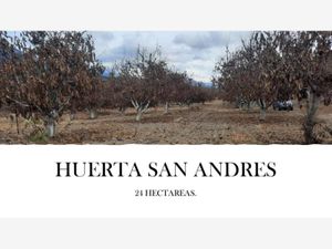 Finca/Rancho en Venta en Los Lirios Arteaga