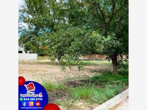 Terreno en Venta en San Alberto Saltillo