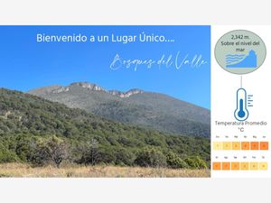 Terreno en Venta en Andalucía Saltillo