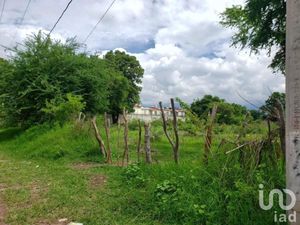 Terreno en Venta en Santiago Yautepec