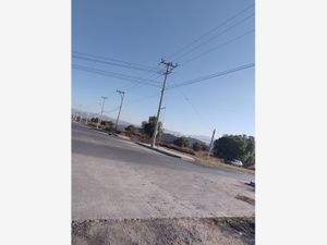 Terreno en Venta en Los Tuzos Mineral de la Reforma