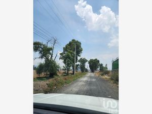 Terreno en Venta en San Gregorio Cuautzingo Chalco