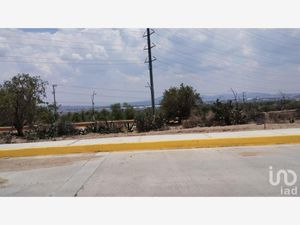 Terreno en Venta en El Saucillo Mineral de la Reforma