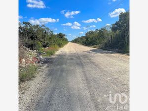 Terreno en Venta en Papagayos Hunucmá