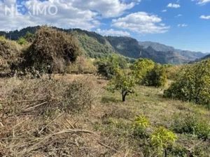 Terreno en Renta en Chalmita Ocuilán