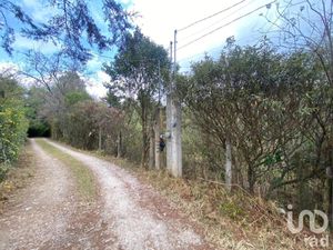 Terreno en Venta en San Martín San Cristóbal de las Casas