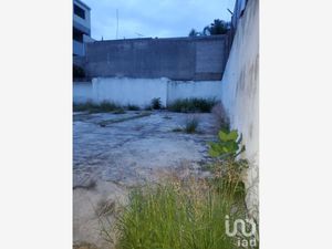 Terreno en Venta en Bosques de La Victoria Guadalajara