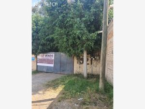 Terreno en Venta en Agua Blanca Zapopan