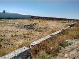 Terreno en Venta en Los Viñedos Zempoala