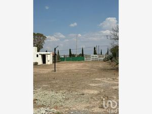 Terreno en Venta en Santiago Tlapacoya Centro Pachuca de Soto