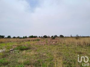 Terreno en Venta en Santa Cruz de Abajo Texcoco