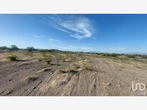 Terreno en Venta en Bajío de Bonillas Silao de la Victoria