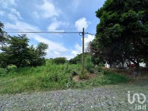 Terreno en Venta en Lomas de Comala Comala