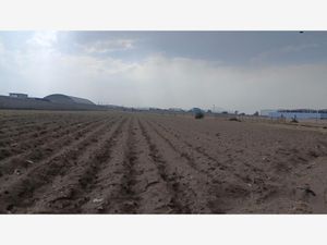 Terreno en Venta en Tlapipinca Cocotitlán