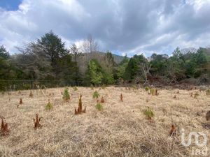 Terreno en Venta en San Martín San Cristóbal de las Casas