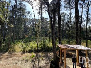 Terreno en Venta en Cerro Gordo Omitlán de Juárez