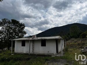 Terreno en Venta en San Luis Boro Atlacomulco