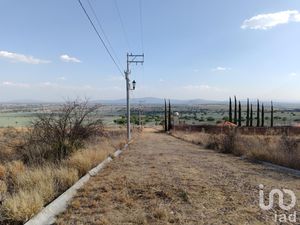 Terreno en Venta en Campestre Lomas del Sur Romita