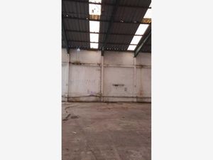 Bodega en Venta en Pedro Ignacio Mata Veracruz