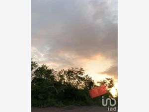 Terreno en Venta en El Habal Mazatlán