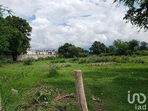 Terreno en Venta en Santiago Yautepec