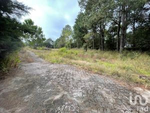 Terreno en Venta en Temascaltepec de González Temascaltepec