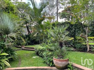 Terreno en Venta en Vista Hermosa Cuernavaca