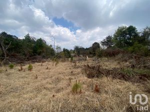 Terreno en Venta en San Martín San Cristóbal de las Casas