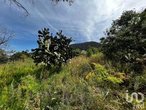 Terreno en Venta en San Luis Boro Atlacomulco