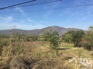 Terreno en Venta en Vista Hermosa Cuernavaca