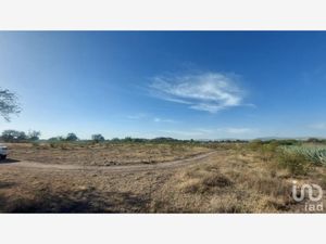 Terreno en Venta en Bajío de Bonillas Silao de la Victoria